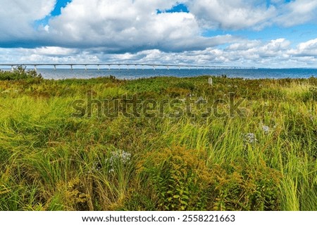 A view across the undergrowth towards the Confederation bridge, Prince Edward Island, Canada in the fall