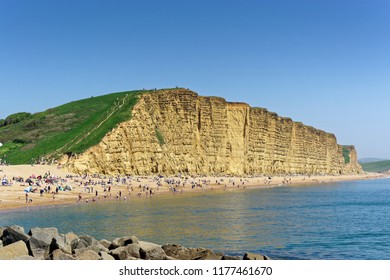 View Across to West Bay Cliffs - Shutterstock ID 1177461670