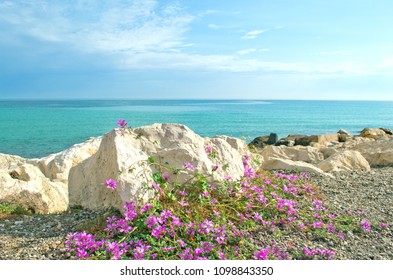 View To The Adriatic Sea  From Bari City Beach, Apulia Region, Italy