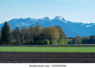 Aussicht von der Landlandschaft rund um Rosenheim, Bayern, Deutschland Richtung Alpen