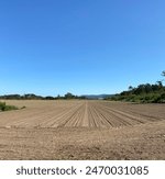 View of agriculture field recently sowed with blue sky, Portugal. 