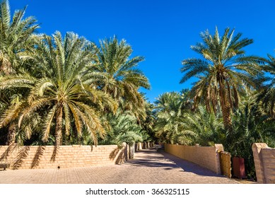 View Of Al Ain Oasis, The Emirate Of Abu Dhabi