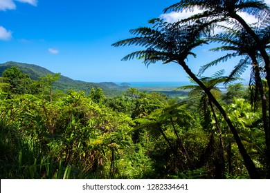 View From Alexandra Lookout, Daintree Rainforest.