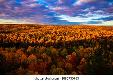 View Of Algonquin Provincial Park In Autumn