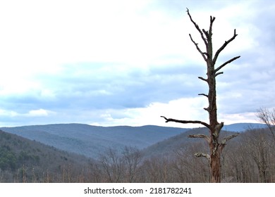 View Along The Appalachian Highlands Of The Blue Ridge Parkway