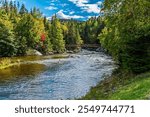 A view along the banks of the Corner Brook Stream towards a footbridge at Corner Brook in Newfoundland, Canada in the fall