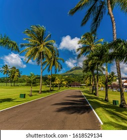 A view along a palm tree line road towards the volcano, Mount Pelee in Martinique