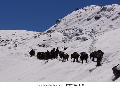 
View Along The Snowman Trek In Bhutan (World Most Difficult Trekking)  			