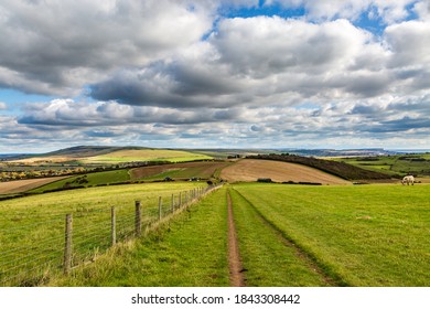 A View Along The South Downs Way In Sussex, On An Autumn Day