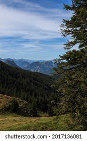 View In The Allgäu Alps