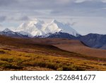 View of the amazing Denali the highest mountain in North America (formerly known as Mount McKinley), in Denali National Park and Preserve, Alaska, USA