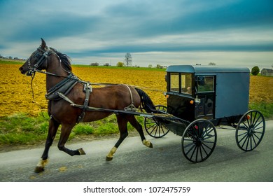 View of Amish buggy on a road with a horse in eastern Pennsylvania