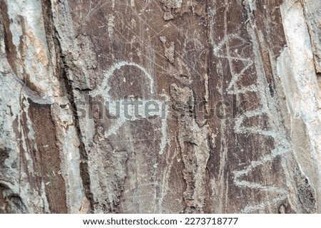 View of ancient petroglyphs in Altay mountains, Siberia, Russia