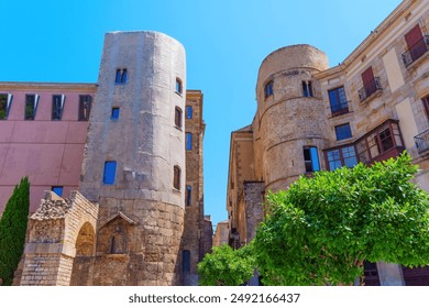 View of ancient structures surrounded by greenery in the gothic quarter of Barcelona.