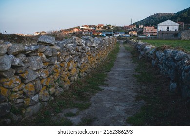 View Of The Ancient Trail On The Camino De Santiago Way, Galicia, Northwestern Spain. 