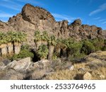 View of Andreas Canyon at the Indian Canyons Nature Preserve, Riverside County, California