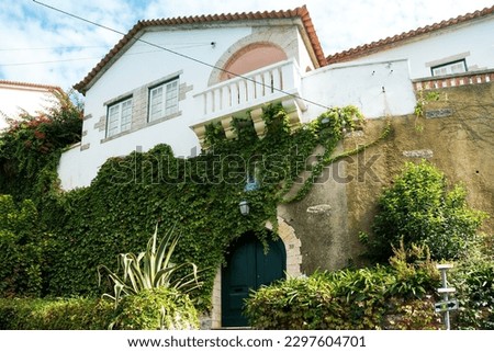 View of apartment building with overgrown ivy plant over wall on a sunny day