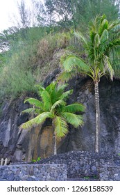 View Of The Arahoho Blowhole In Tahiti, French Polynesia