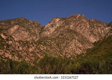 View Of The Arid Hills And Forest In A Sunny Day.	