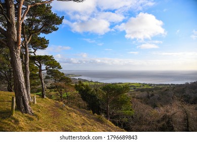 View From Arnside Knott In Cumbria