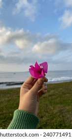 view around beach sunrise of eastjava indonesia