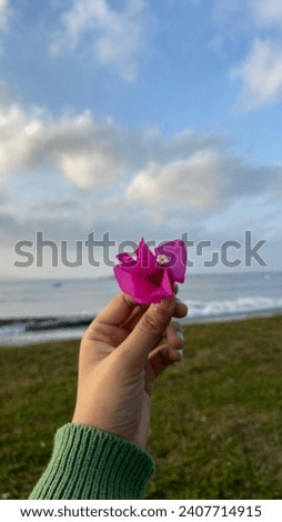 view around beach sunrise of eastjava indonesia