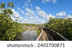 View around Long Key State Park -  Layton, Florida in August 2023
Trail flooded in the mangroves before Hurricane Ian