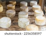 View to artisan cheese with white mold on local store in the central market, Belo Horizonte, Minas Gerais, Brazil