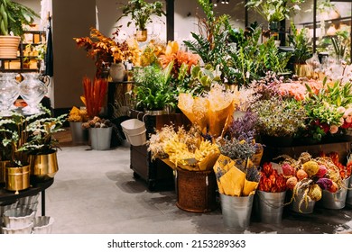 View of assortment of decor for interior shop in store of shopping center. View of ornamental plants, flower pot, home plant, flowers. View of home accessories for interior in shop fashion retail