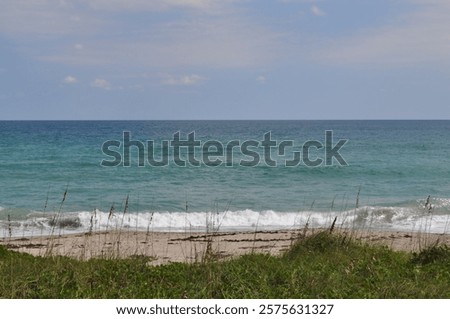A view of the Atlantic ocean with sandy, grass covered dunes in the foreground. 