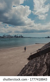 View From Auckland's North Shore To Auckland City Centre