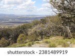 View of an Australian bush landscape from the Mount Mackenzie Scenic Lookout near Tenterfield in New South Wales, Australia