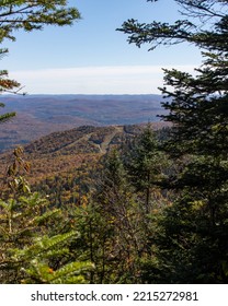 A View Of The Autumn Colours Hills Partially Obstructed By Ever Green Trees 