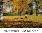 View of Autumn in Joensuu, Northern Karelia, Finland in September 2024