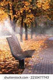 View Of An Autumn Park, Trees, Path, Bench.