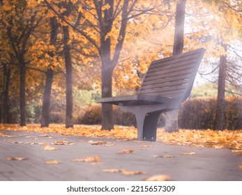 View Of An Autumn Park, Trees, Path, Bench.