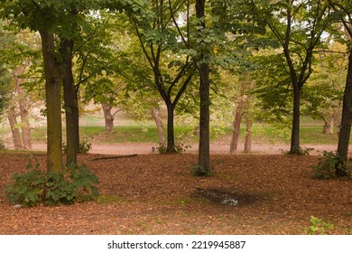 View Of The Autumn Season In The Famous Garden Of Villa Borghese In Rome Italy