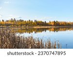 View of autumn trees and blue sky reflections in Lacombe Lake