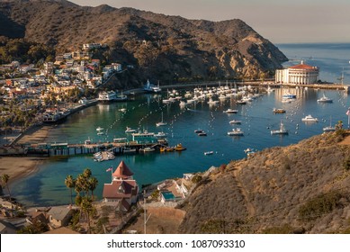 A view of Avalon harbor, Catalina island from high ground