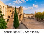 View of Avignon with Palais des Papes during sunset in Southern France. Medieval architecture along the Rhone River in Avignon, Provence, France. The Palais des Papes in Avignon, South France.