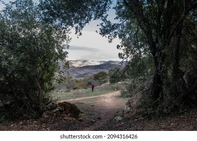 View Of Ayalon Valley And Mountains In West Bank As Seen From A Forest Trail In Ayalon-Canada National Park And Nature Reserve, Israel.