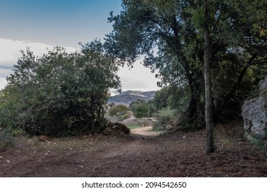 View Of Ayalon Valley And Mountains In West Bank As Seen From A Forest Trail In Ayalon-Canada National Park And Nature Reserve, Israel.