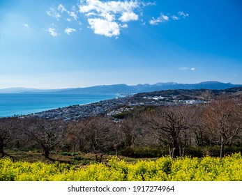 A view from Azumayama Park in early spring. Azumayama Park is located in Ninomiya-cho, Kanagawa Prefecture, Japan.