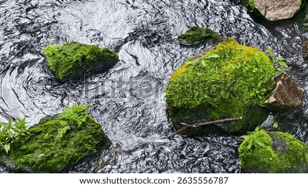 A view of a babbling brook as it flows past rocks covered in moss, showcasing the interplay between water and nature, creating a serene and calming scene