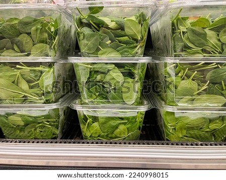 View of baby spinach packaged in clear plastic containers at the grocery store in refrigerator.