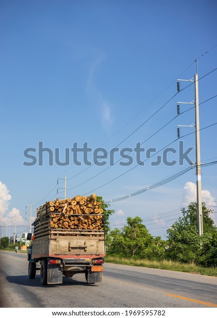 A view of the back of an agricultural vehicle with a\
full load of eucalyptus logs, the car drives down a country road\
during the day.