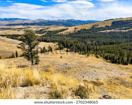 View of the back county from the road over Dunraven Pass, Yellowstone National Park, WY