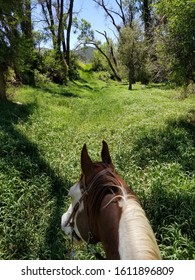 View From The Back Of A Paint Horse On A Colorado Trail Ride 