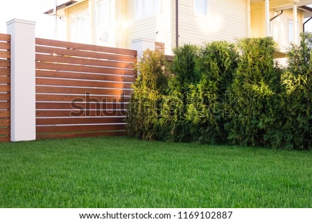 View of the back yard with trees and a flat lawn