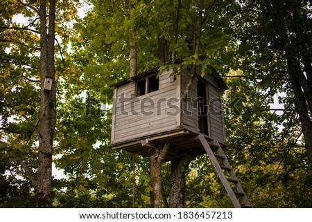 View of a backyard tree house hiding up high in the branches and green leafs